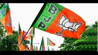 As many as 62 BJP MPs had won from UP in 2019 Lok Sabha polls while another two won on ally Apna Dal (S) ticket. (Pic for representation) As many as 62 BJP MPs had won from UP in 2019 Lok Sabha polls while another two won on ally Apna Dal (S) ticket. (Pic for representation)