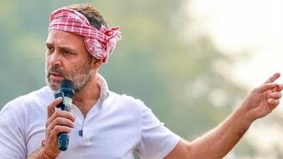 Congress leader Rahul Gandhi. (PTI) Congress leader Rahul Gandhi. (PTI)