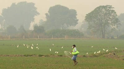 The fertiliser and food subsidies for the fiscal year 2024/25 beginning on April 1 are expected to remain at the current year's level.&nbsp; (AFP)