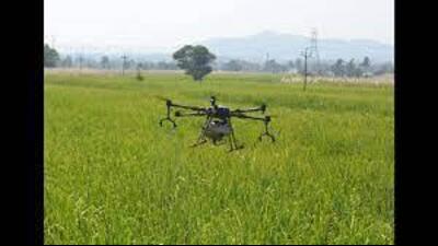 Officials said that nearly 60,000 acres of wheat crop in the state have been covered so far with nano urea by Haryana government including 6,000 acres in Karnal itself. (HT Photo)