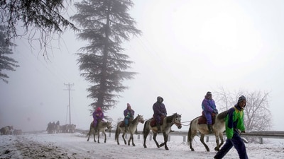 First-time visitors who witnessed the snowfall are thrilled by the experience.&nbsp; (PTI)