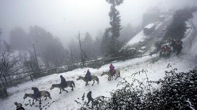 "We are seeing beautiful snowfall. I am told that this is the first snowfall of 2024. This is like heaven for us. We hope to get more now. It is said that this weather is good for apples and farming." Shreesh, a tourist from Gujarat, told news agency ANI at the Kufri resort.&nbsp; (PTI)