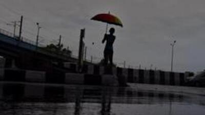 Rainfall over northwest India in January was the second lowest since 1901. (HT Photo) Rainfall over northwest India in January was the second lowest since 1901. (HT Photo)