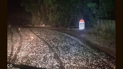 Some parts of Panchkula and Nayagaon saw a hailstorm in the evening on Wednesday. (Sant Arora/HT) Some parts of Panchkula and Nayagaon saw a hailstorm in the evening on Wednesday. (Sant Arora/HT)
