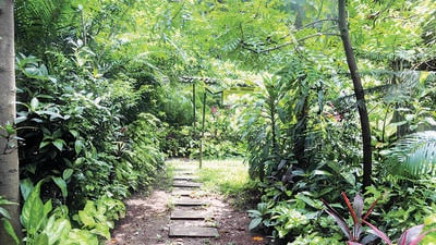 The entire project is likely to cost around ₹95 crore. Budget allocation for other development work at the park will be made available in a phased manner. (REPRESENTATIVE PHOTO) The entire project is likely to cost around ₹95 crore. Budget allocation for other development work at the park will be made available in a phased manner. (REPRESENTATIVE PHOTO)