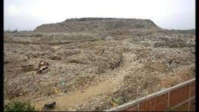 The high court instructed the petitioners to submit expert solutions to resolve the waste management problem in Chandigarh. (HT File Photo) The high court instructed the petitioners to submit expert solutions to resolve the waste management problem in Chandigarh. (HT File Photo)