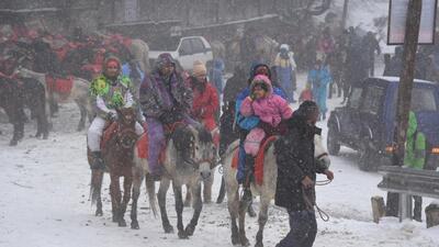 Tourists enjoying the pony ride amid snowfall at Kufri near Shimla on Wednesday. (Deepak Sansta/HT) Tourists enjoying the pony ride amid snowfall at Kufri near Shimla on Wednesday. (Deepak Sansta/HT)