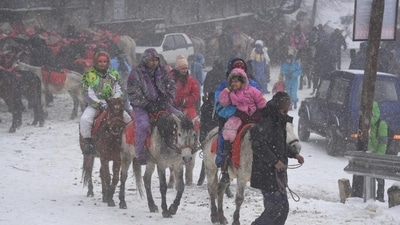 Many tourists were seen enjoying the snowfall in the hill resort of Kufri.&nbsp; (HT Photo/Deepak Sansta)