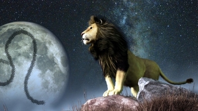 Leo Monthly Horoscope for February, 2024: As we step into February, Leos will be focusing on self-improvement and inner growth.