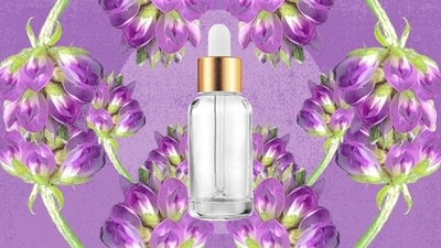 Anti-ageing effects to even complexion: Bakuchiol benefits in skincare and makeup (Image by iStock) Anti-ageing effects to even complexion: Bakuchiol benefits in skincare and makeup (Image by iStock)