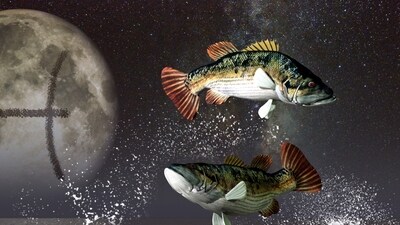 Pisces Monthly Horoscope February 2024: February month for Pisces will be an intriguing blend of cosmic energies.