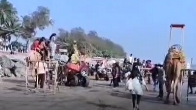The boy riding the bike with a tourist rammed into a camel.