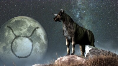 Taurus Monthly Horoscope for February, 2024: This month, Taurus will have opportunities for significant personal growth, all while enjoying their beloved routines and comforts. (shutterstock)