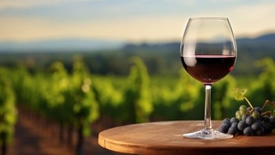 This year, Bordeaux Fête le Vin, the annual wine tourism festival will be held from June 27-30 on the banks of the Garonne. (Freepik) This year, Bordeaux Fête le Vin, the annual wine tourism festival will be held from June 27-30 on the banks of the Garonne. (Freepik)