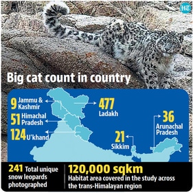 According to the Snow Leopard Population Assessment in India there are 718 snow leopards in India, mostly in Ladakh, According to the Snow Leopard Population Assessment in India there are 718 snow leopards in India, mostly in Ladakh,