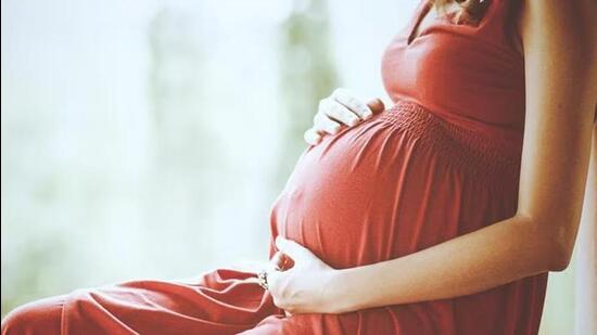 The woman had challenged the Delhi high court’s January 23 (Representative Photo)