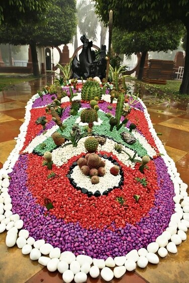 The cacti garden, which has several species, is a haven for admirers of succulents and is one of the designated selfie spots. (Photo: Manoj Verma/HT)