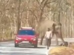 2 men try to click selfie, narrowly escape Elephant attack in Bandipur forest 2 men try to click selfie, narrowly escape Elephant attack in Bandipur forest