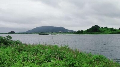 World Wetlands Day 2024: Date, history and significance (HT FILE) World Wetlands Day 2024: Date, history and significance (HT FILE)