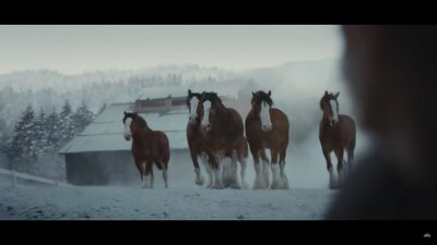 The return of the Budweiser Clydesdales (Budweiser/YouTube) The return of the Budweiser Clydesdales (Budweiser/YouTube)