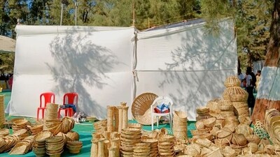 This event also draws visitors from nearby cities like Mumbai, Nashik, Pune, and Surat, as people come together to explore the previously undiscovered facets of North Konkan tourism. (Instagram/@chikoo_festival) This event also draws visitors from nearby cities like Mumbai, Nashik, Pune, and Surat, as people come together to explore the previously undiscovered facets of North Konkan tourism. (Instagram/@chikoo_festival)