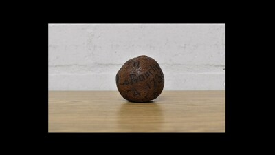A dried lemon that was sold in an auction in England. A dried lemon that was sold in an auction in England.