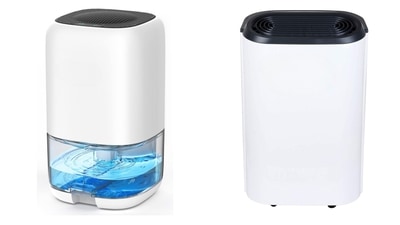 Valentines day: Top 8 dehumidifiers to gift that foster a healthier living space Valentines day: Top 8 dehumidifiers to gift that foster a healthier living space