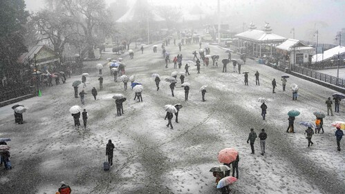 Shimla: Tourists under umbrellas at Ridge amid  snowfall in Shimla, Thursday, Feb. 1, 2024. (PTI)