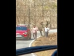 Snapshot of the elephant running after two men.  