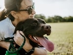 Cruelty against animals are punishable under The Indian Penal Code and The Prevention of Cruelty to Animals Act. The Prevention of Cruelty to Animals Act is specifically designed to address and prevent cruelty to animals in India. Here are some laws you should be aware of that aim to prevent cruelty to animals.&nbsp;(Unsplash)
