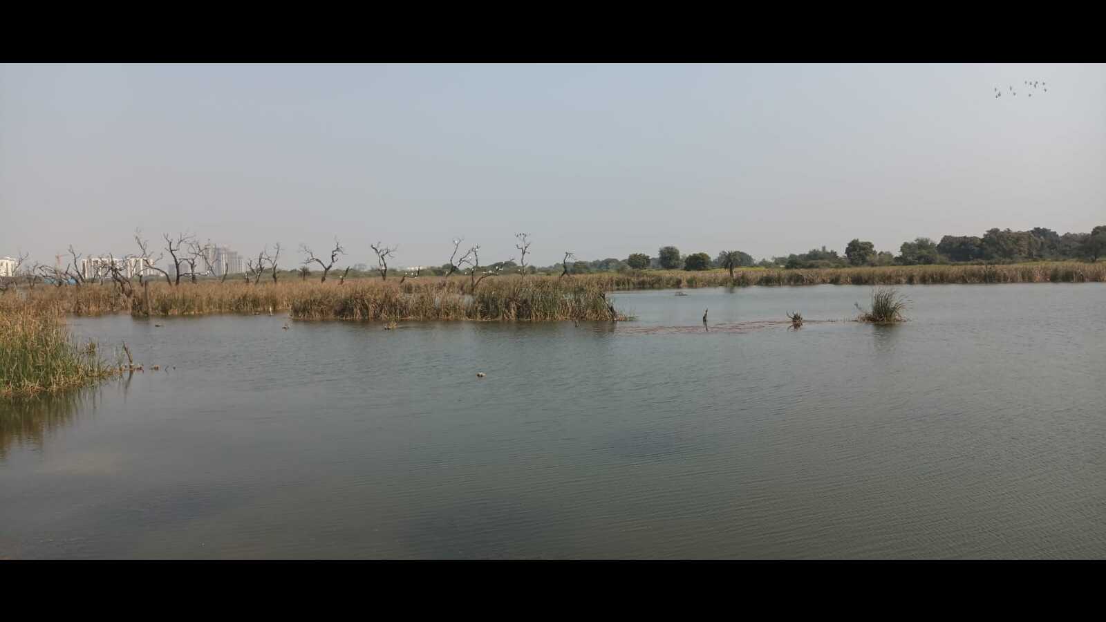 Reviving Lucknow's ecosystem: 108 wetlands set for restoration - Vimarsana News
