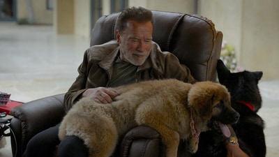 Arnold Schwarzenegger has spoken up about his terrifying experience on the operating table, where he faced a near-death situation during an open heart surgery (Netflix) Arnold Schwarzenegger has spoken up about his terrifying experience on the operating table, where he faced a near-death situation during an open heart surgery (Netflix)
