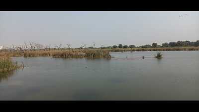 Ekana wetland in Lucknow. (Gaurav Saigal / Hindustan Times)