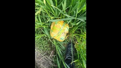 In a joint raid, the Border Security Force (BSF) and STF, Amritsar, recovered suspected heroin from a house in Gurdaspur’s Didhowal village on Thursday, officials said on Friday. (HT Photo)