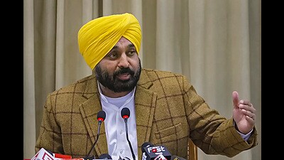 To inspect the citizen services at the doorsteps facility by calling helpline No. 1076 launched by the Punjab government, deputy commissioner (DC) Amit Kumar Panchal on Friday made video calls to applicants and interacted with them regarding the process. (PTI File Photo)