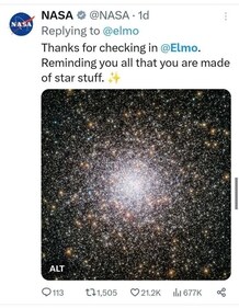 NASA likened the furry figure to stars (X)