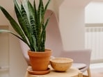 pexels-cottonbro-studio-9707479