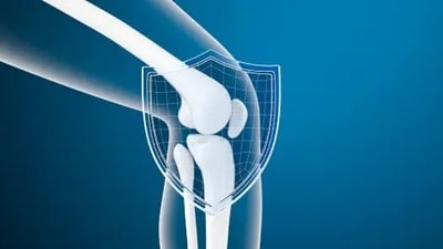 Bones are crucial for movement, as well as for protecting the organs of the body, such as heart and brain. T is very important to ensure that we consume a diet rich in nutrients that can support bone health. "Dairy products aren't the only way to strengthen your bones. If you're lactose intolerant or simply prefer non-dairy options, this one’s for you," wrote Nutritionist Anjali Mukerjee. (Unsplash) Bones are crucial for movement, as well as for protecting the organs of the body, such as heart and brain. T is very important to ensure that we consume a diet rich in nutrients that can support bone health. "Dairy products aren't the only way to strengthen your bones. If you're lactose intolerant or simply prefer non-dairy options, this one’s for you," wrote Nutritionist Anjali Mukerjee. (Unsplash)