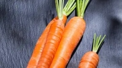 A glass of raw carrot along with spinach juice contains optimum amount of Calcium needed for bone strength. (Unsplash) A glass of raw carrot along with spinach juice contains optimum amount of Calcium needed for bone strength. (Unsplash)