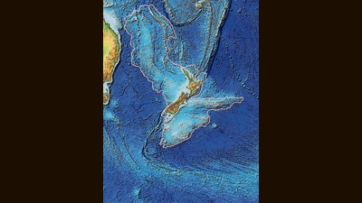 The topography of Zealandia, outlined in pink. (Wikimedia Commons) The topography of Zealandia, outlined in pink. (Wikimedia Commons)