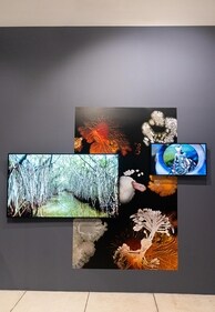 This international travelling exhibition curated by Bettina Korintenberg is a parallel event of the ongoing India Art Fair. It focuses on the existential threat to our collective situation and the urgent need to develop new options for representation and action. (Photo: Kailash Bhatt)