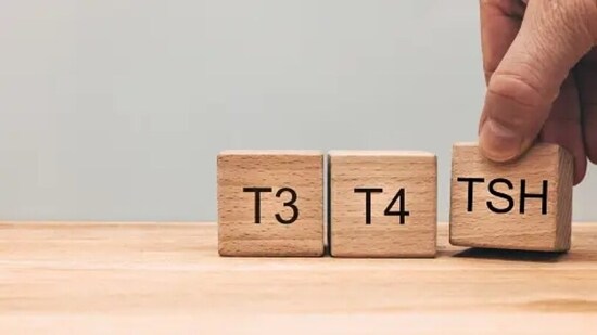 Omega-3 fatty acids play a significant role in the structure of cell membranes of thyroid cells – this can enhance the efficiency of thyroid hormone receptors.&nbsp;(Unsplash)