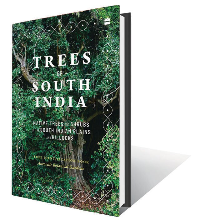 By Paul Blanchflower and Marie Dremont; 248pp, ₹799; HarperCollins (A detailed pictorial guide to help readers identify 190 ecologically important species of native trees and shrubs) By Paul Blanchflower and Marie Dremont; 248pp, ₹799; HarperCollins (A detailed pictorial guide to help readers identify 190 ecologically important species of native trees and shrubs)