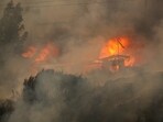 A view shows crashed vehicles following the spread of wildfires in Vina del Mar, Chile