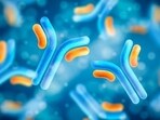 Candida auris is a type of yeast that can cause serious infections, particularly in hospital settings. Candida auris is a type of yeast that can cause serious infections, particularly in hospital settings.