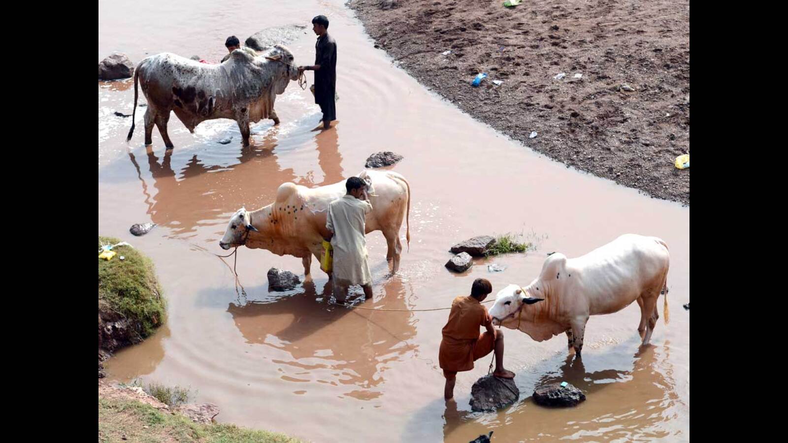 IIVR's Agri Fair: Focus on tech agricultural education - Vimarsana News