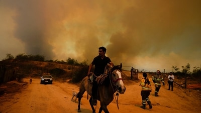A resident flees an encroaching forest fire in Vina del Mar, Chile. Officials say intense forest fires burning around a densely populated area of central Chile have left several people dead and destroyed hundreds of homes. (AP) A resident flees an encroaching forest fire in Vina del Mar, Chile. Officials say intense forest fires burning around a densely populated area of central Chile have left several people dead and destroyed hundreds of homes. (AP)