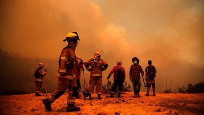 Firefighters work on the zone of a forest fire in the hills in Quilpe comune, Valparaiso region in Chile. (AFP) Firefighters work on the zone of a forest fire in the hills in Quilpe comune, Valparaiso region in Chile. (AFP)