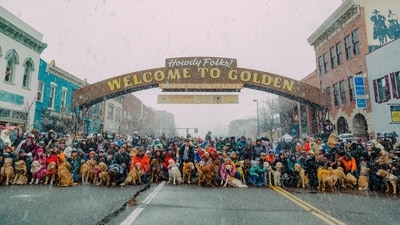 Golden, Colorado hosts annual 'Goldens in Golden' event despite heavy snowfall. (X) Golden, Colorado hosts annual 'Goldens in Golden' event despite heavy snowfall. (X)