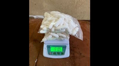 Mumbai, India - September 03, 2022: The Mumbai Customs at the Chhatrapati Shivaji Maharaj International Airport seized 1,300 grams of cocaine concealed in 87 capsules, swallowed by a Ghana national upon his arrival. The drug is valued at ₹13 crore in the illicit market. The accused, Raymond Anane Kyeremateng, 57, was detained by officials attached to the Customs Air Intelligence Unit (AIU) on August 28 based on profiling and suspicion. (HT Photo) (Hindustan Times) Mumbai, India - September 03, 2022: The Mumbai Customs at the Chhatrapati Shivaji Maharaj International Airport seized 1,300 grams of cocaine concealed in 87 capsules, swallowed by a Ghana national upon his arrival. The drug is valued at ₹13 crore in the illicit market. The accused, Raymond Anane Kyeremateng, 57, was detained by officials attached to the Customs Air Intelligence Unit (AIU) on August 28 based on profiling and suspicion. (HT Photo) (Hindustan Times)